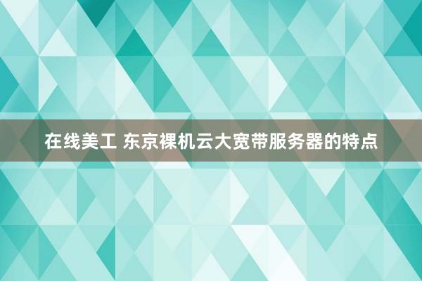 在线美工 东京裸机云大宽带服务器的特点